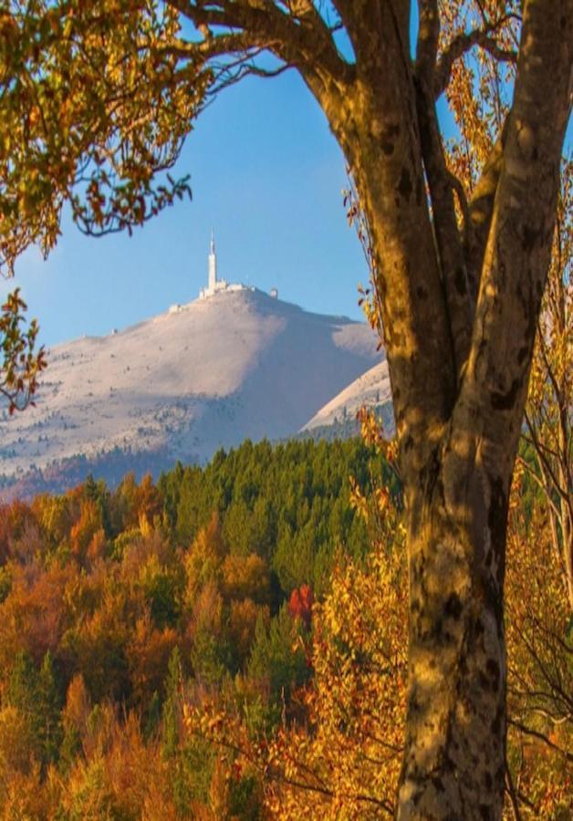 Willa Gite Les Feuilles De Chene Carpentras Zewnętrze zdjęcie